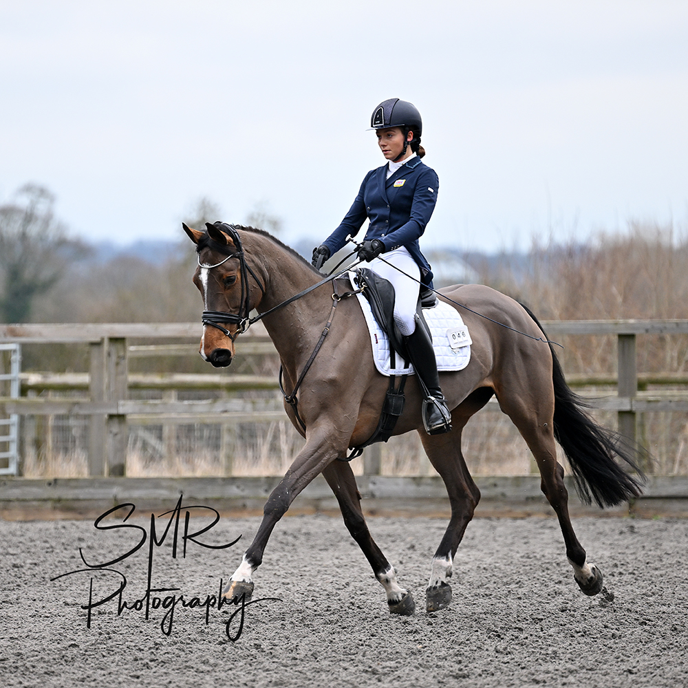 17-2-2024 - Writtle Unaffiliated Dressage