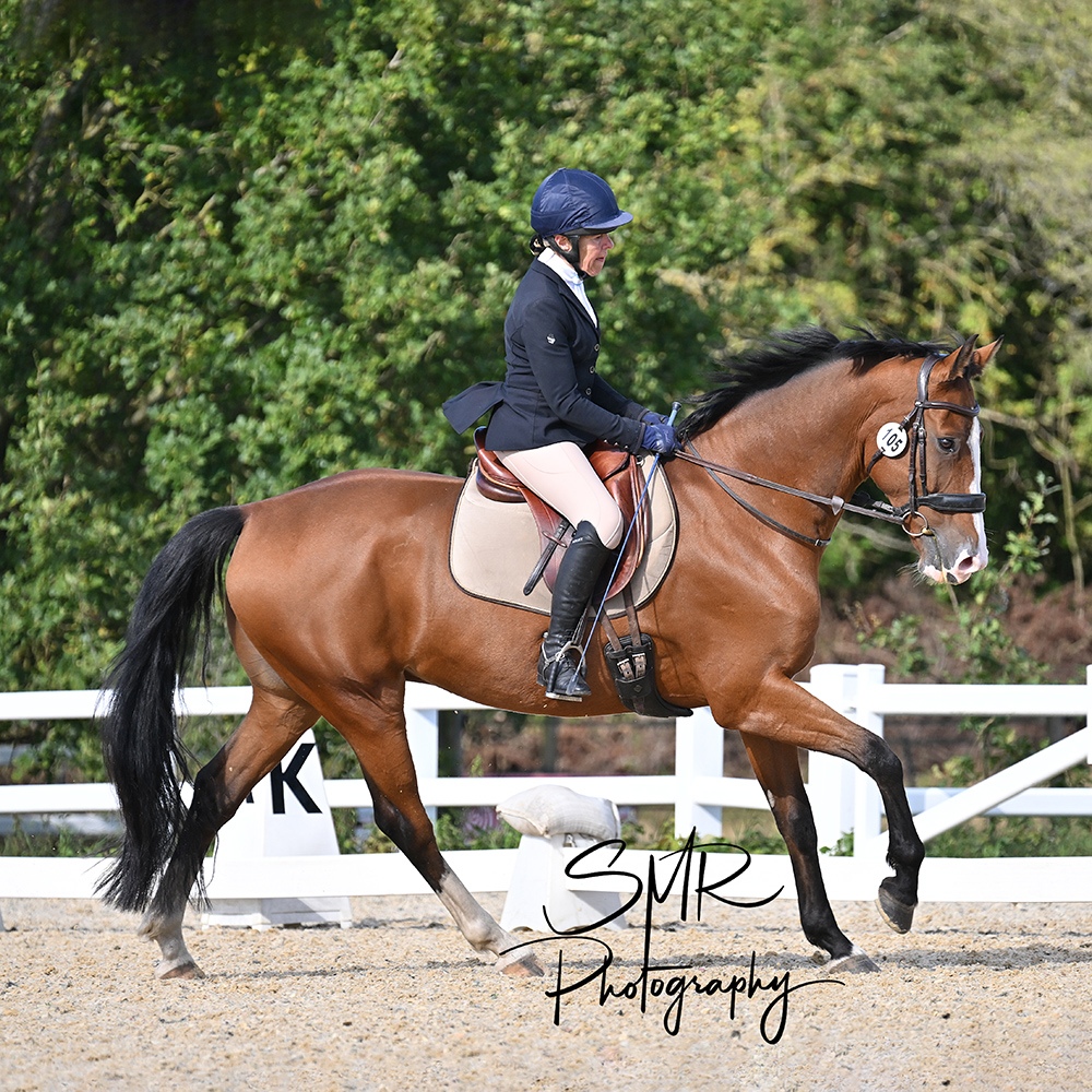 28-9-2024 Unaffiliated and Quest Dressage