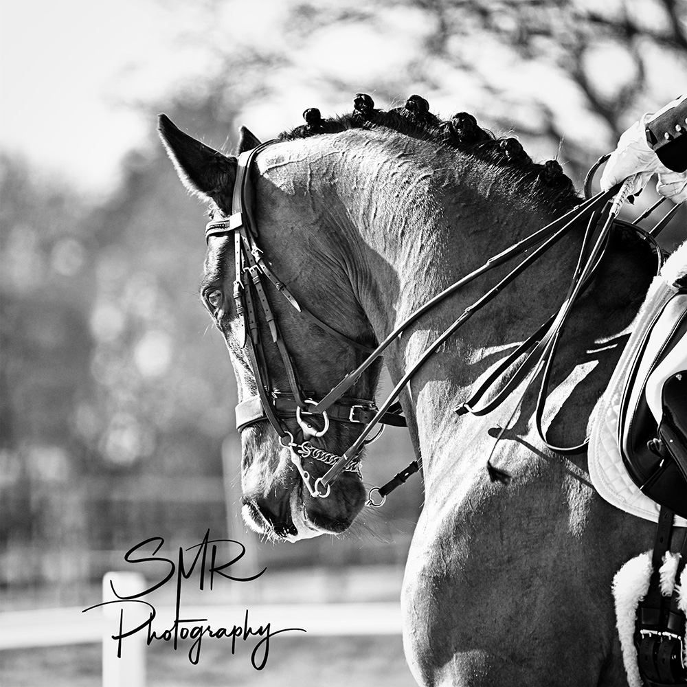 9-3-2025 - Affiliated Dressage