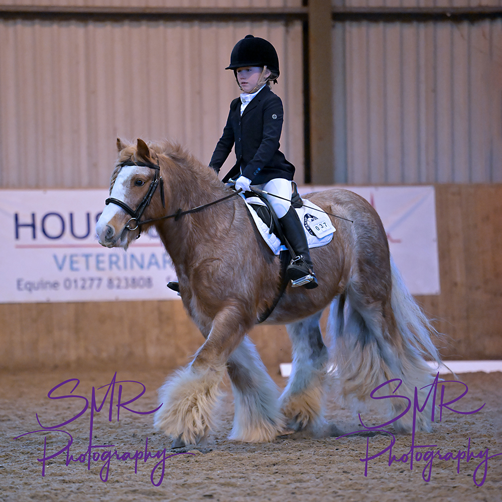 ARU Unaffiliated Dressage