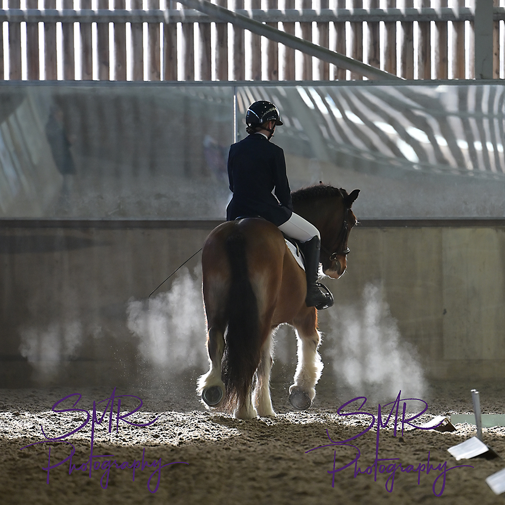 8-2-2026 - IBRC Unaffiliated Dressage