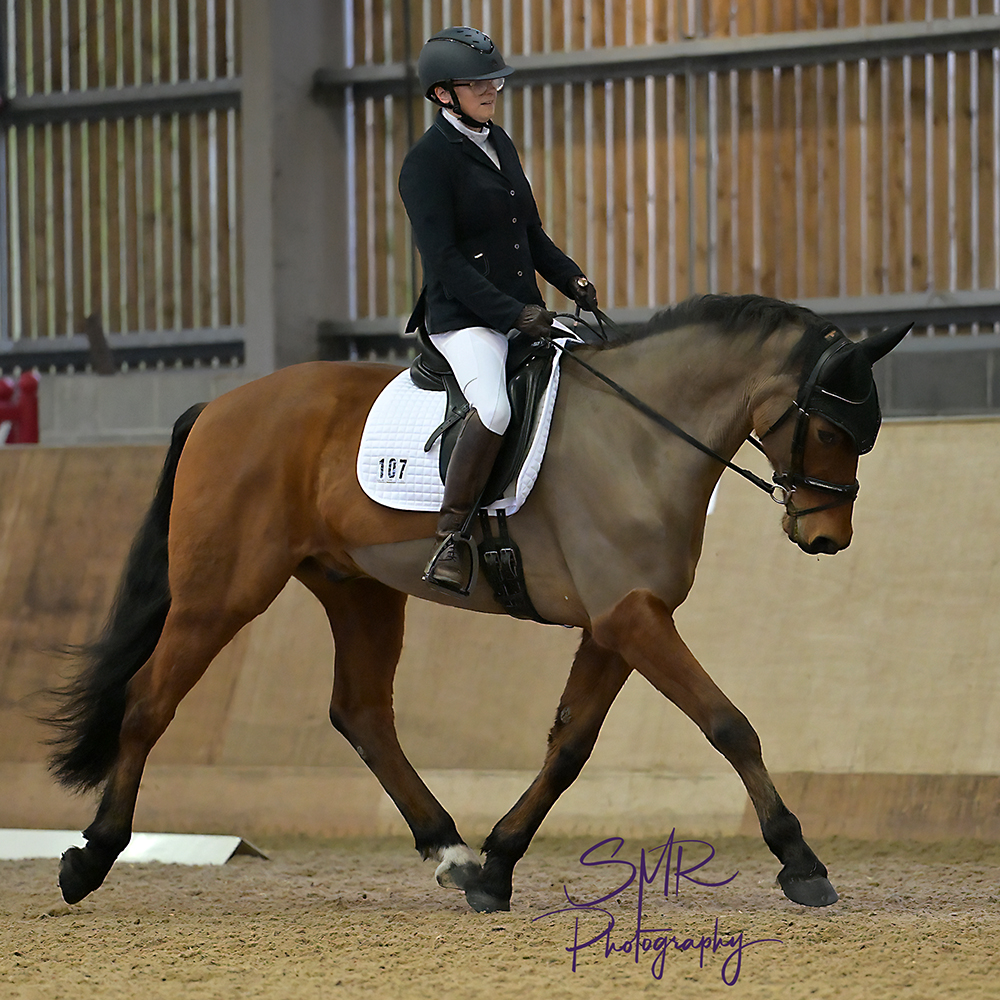8-3-2026 - IBRC Winter League Dressage