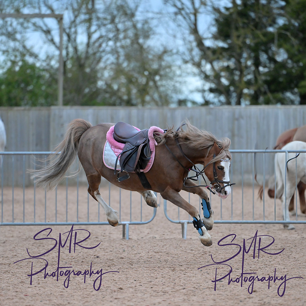 14-4-2026 - Evening Showjumping