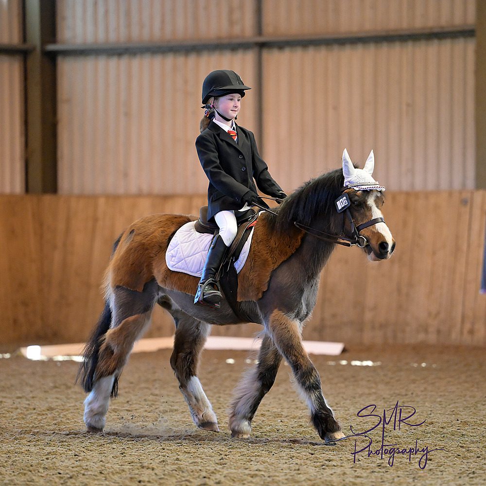 19-4-2026 - Unaffiliated Dressage