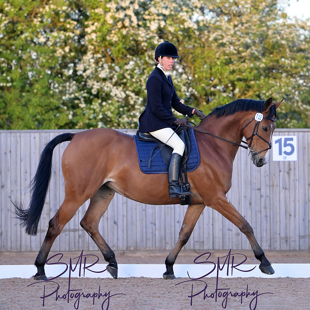 30-4-2026  - Evening Dressage