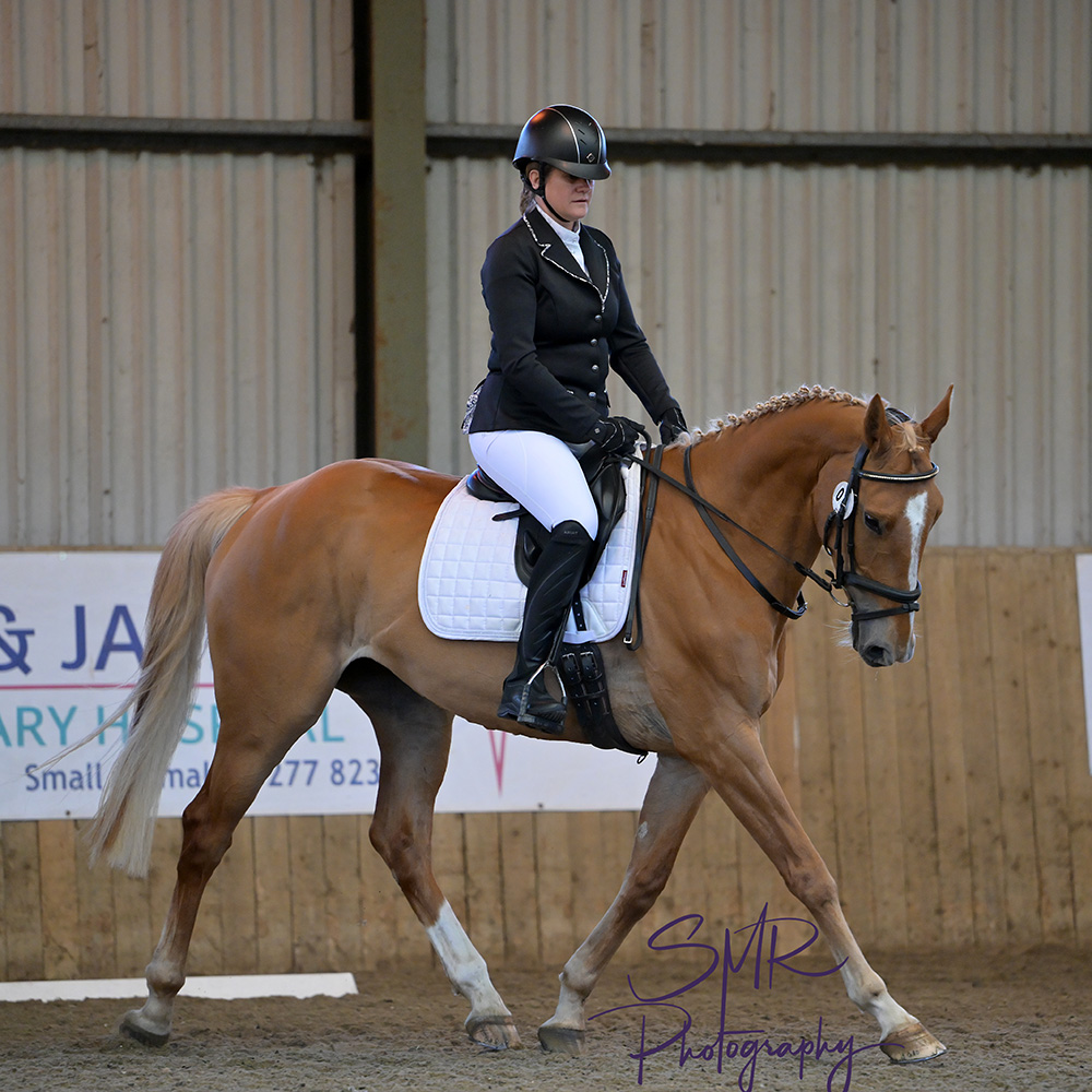 3-5-2026 - ARU Dressage Sunshine Tour Qualifiers