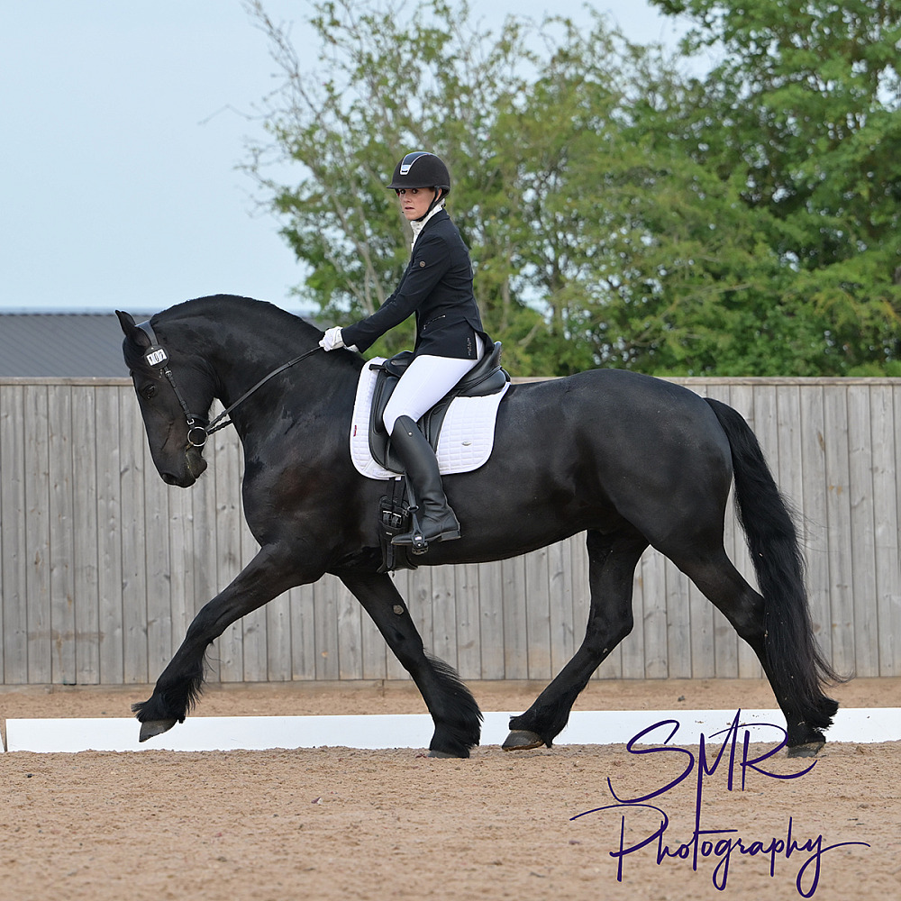 28-5-2026 - Unaffiliated Dressage