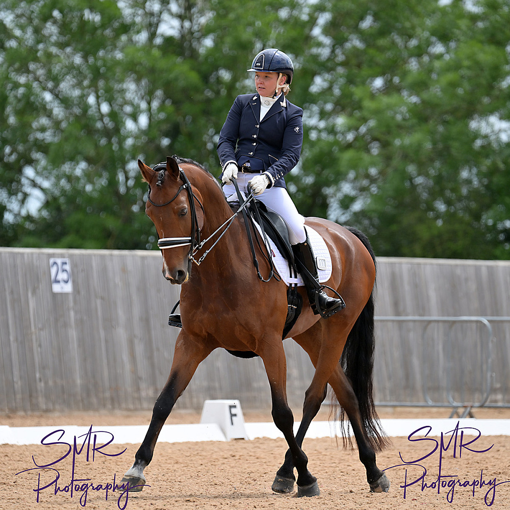 7-6-2026 - BD Affiliated Dressage