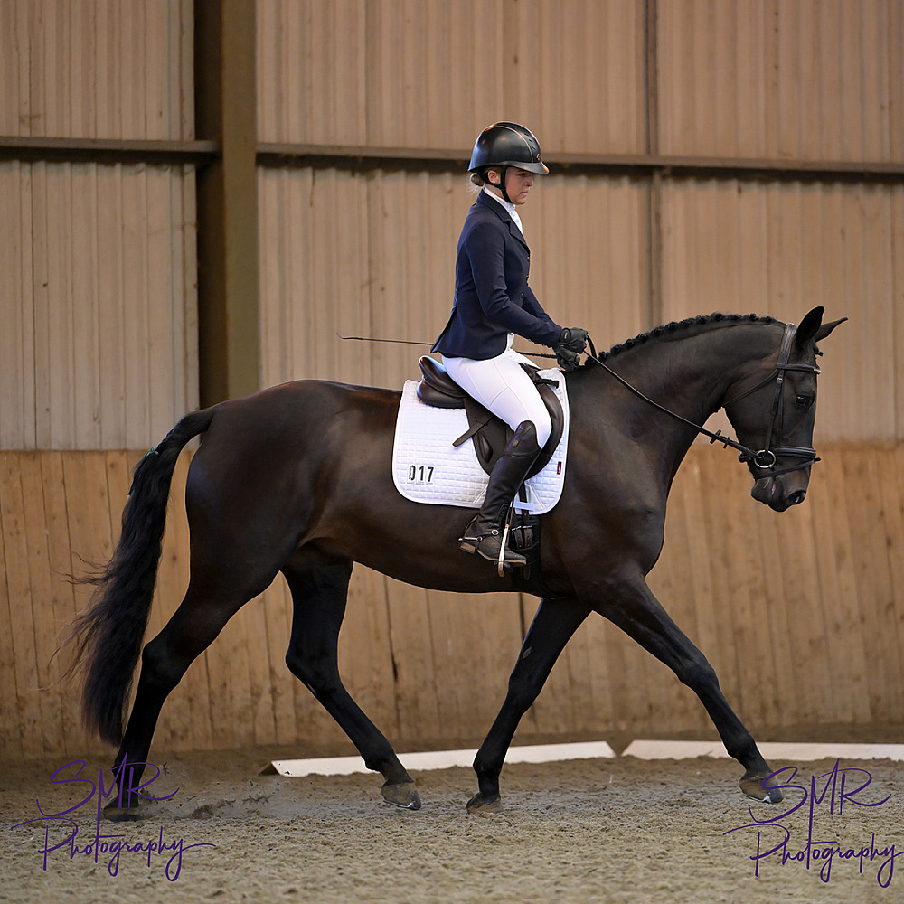 14-6-2027 - ARU Unaffiliated and Sunshine Tour Dressage