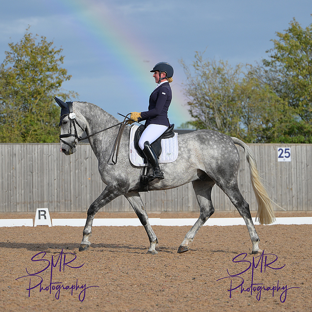 12-9-2026 - BD Affiliated Dressage