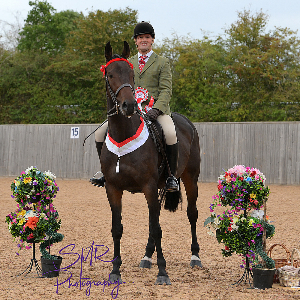 27-9-2026 - Showing Show