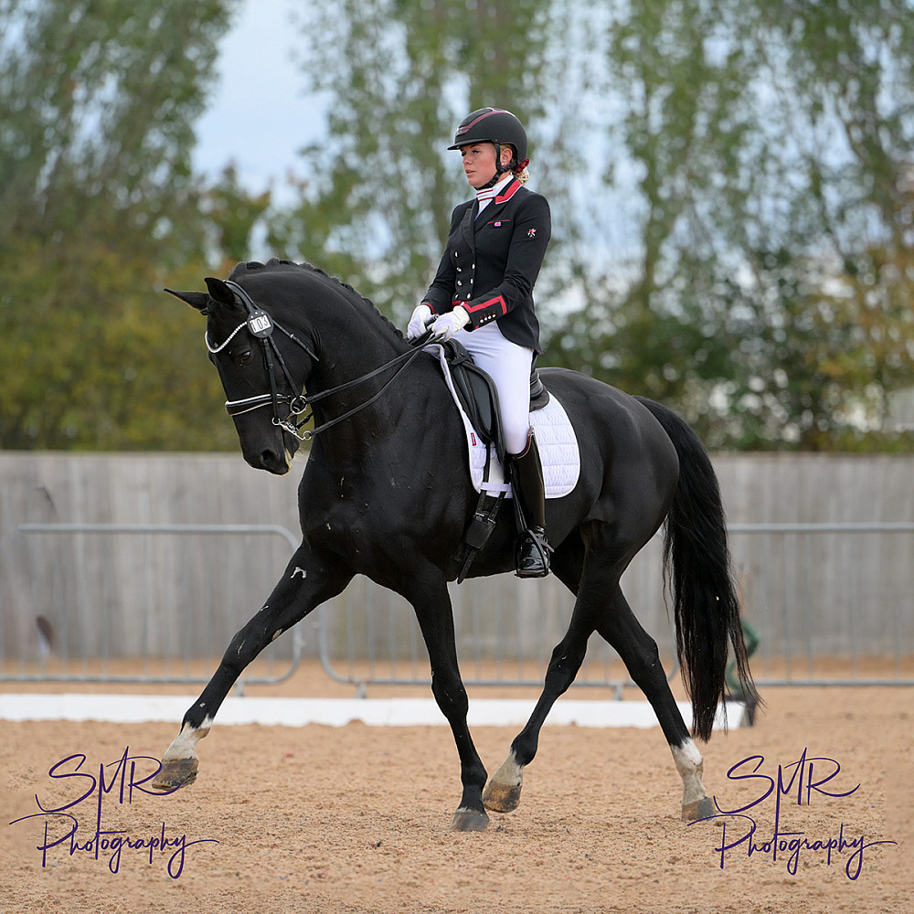 3-10-2026 - BD Affiliated Dressage